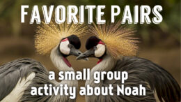 favorite pairs an activity about noah