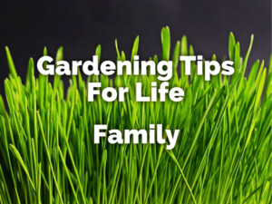 gardening tips for life family